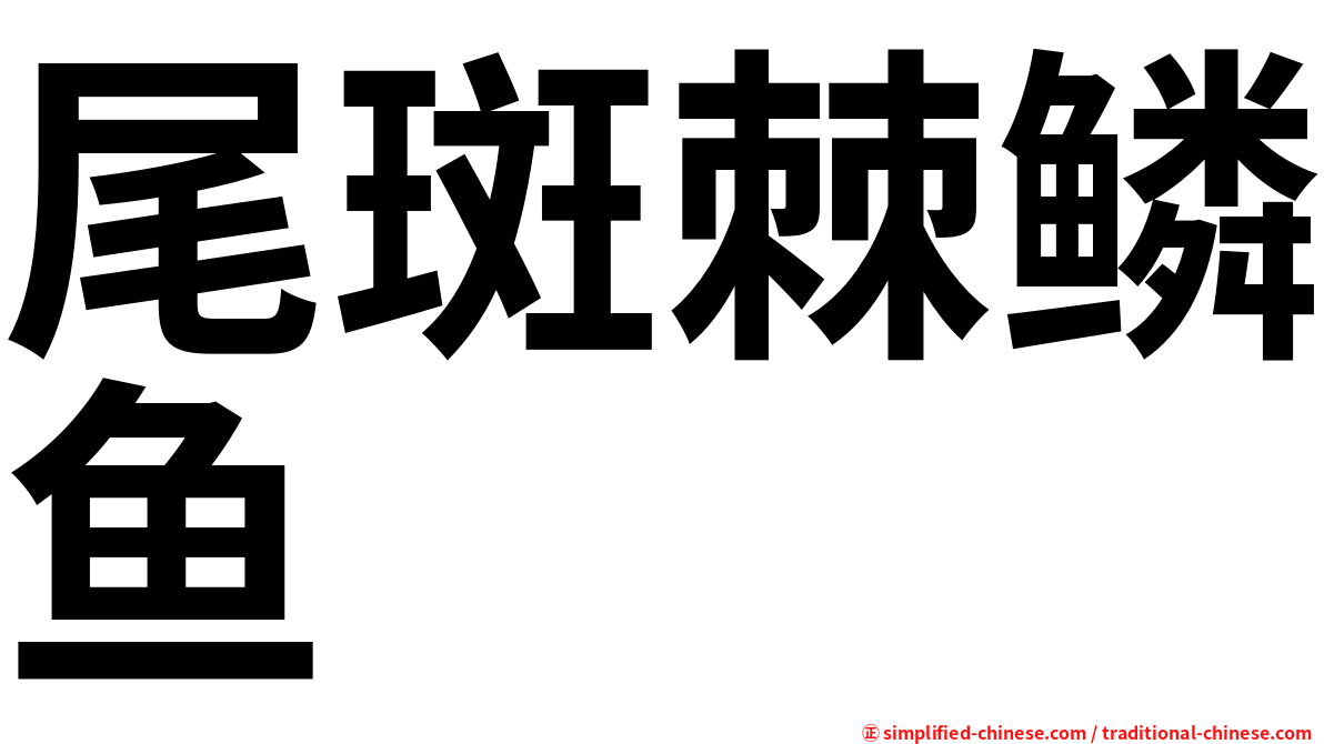 尾斑棘鳞鱼