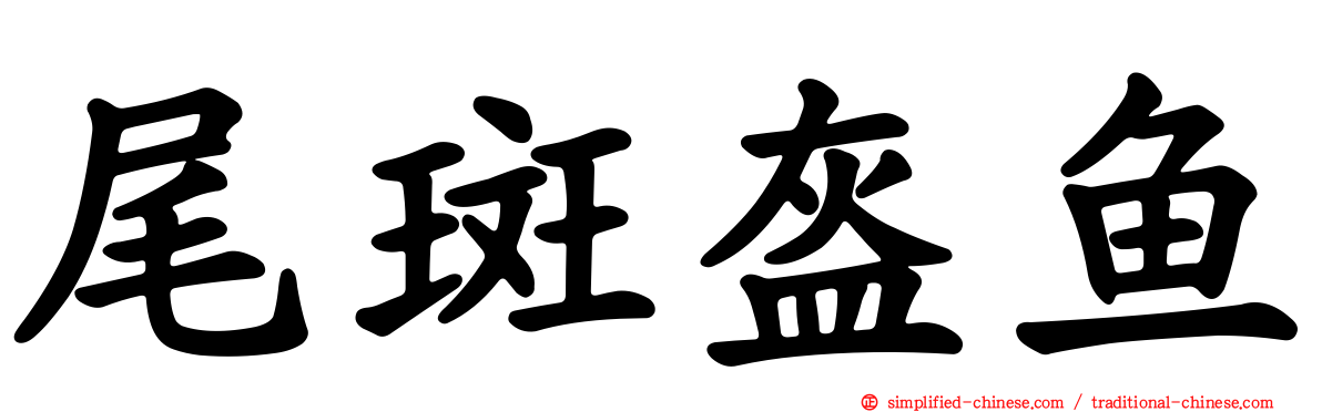 尾斑盔鱼