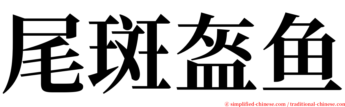 尾斑盔鱼 serif font