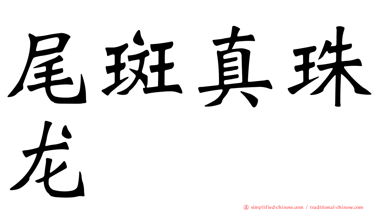 尾斑真珠龙