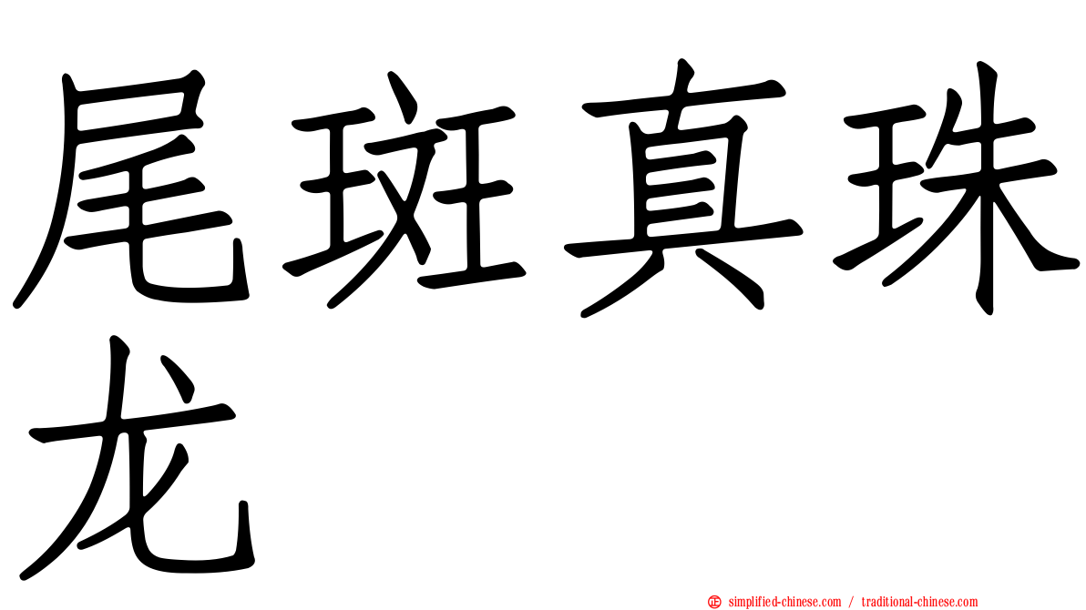 尾斑真珠龙