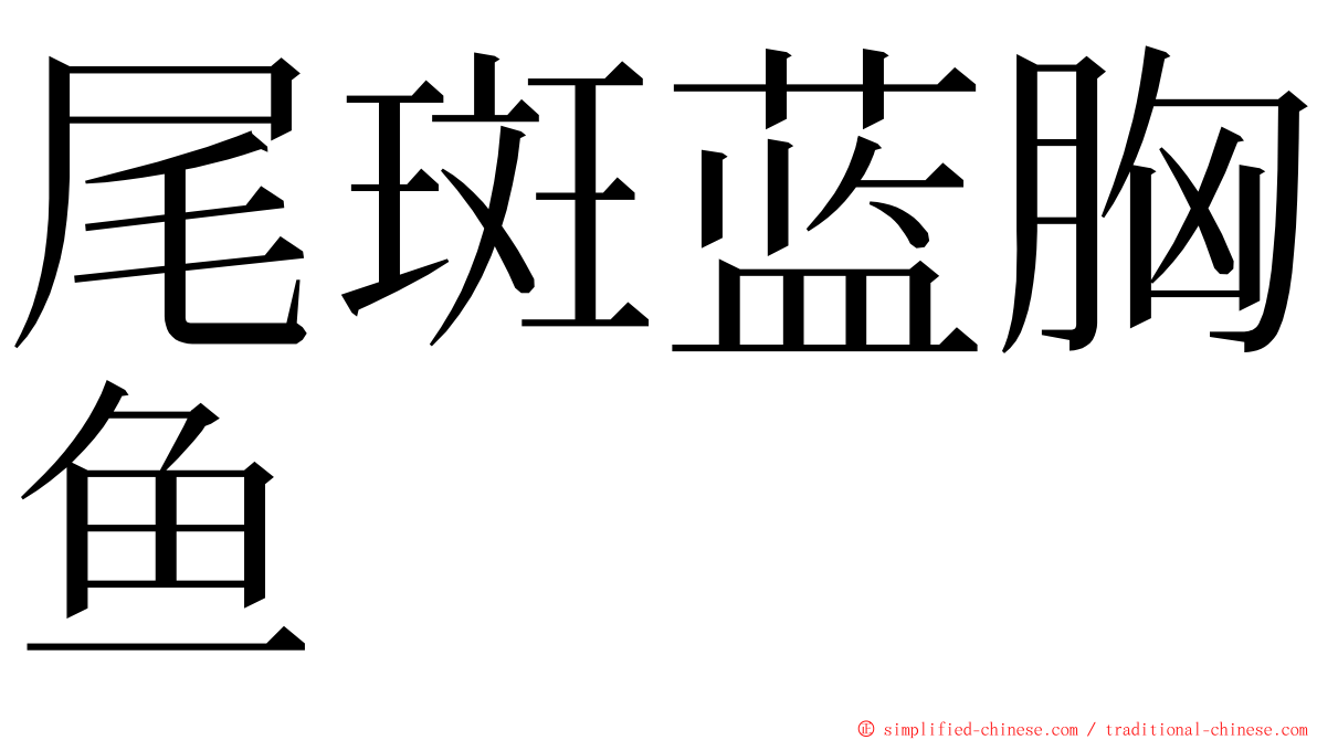 尾斑蓝胸鱼 ming font
