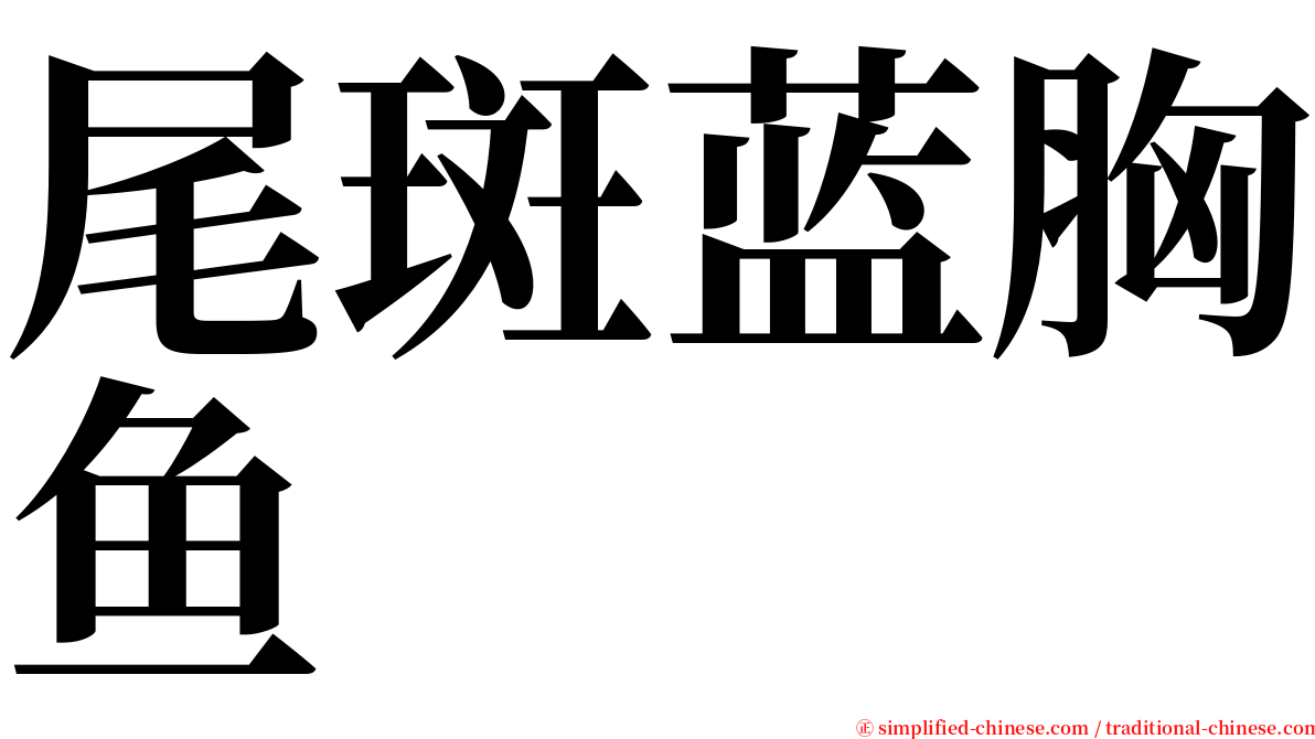 尾斑蓝胸鱼 serif font