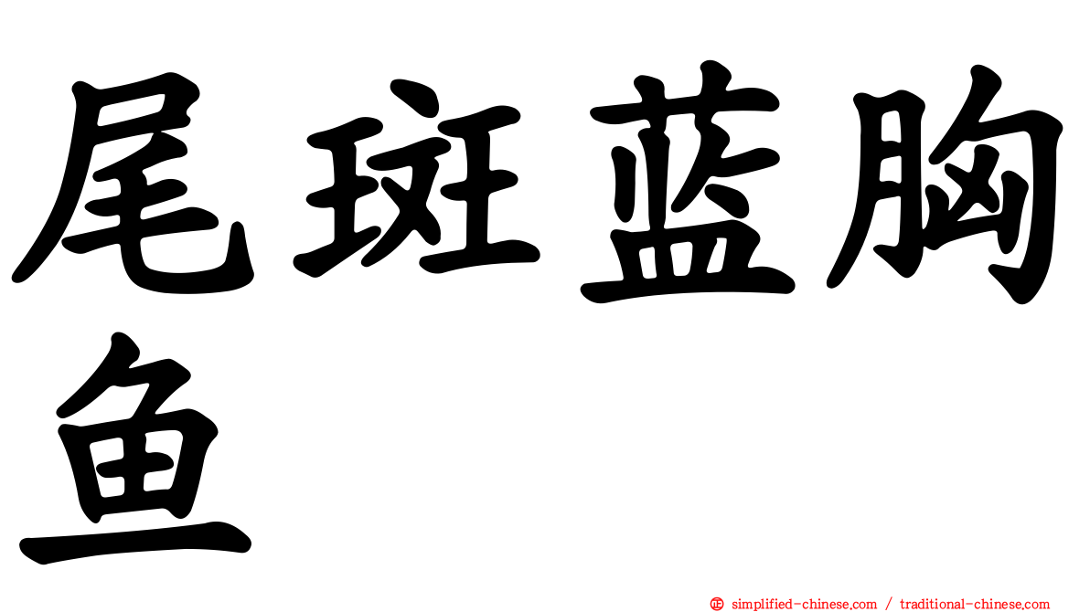 尾斑蓝胸鱼