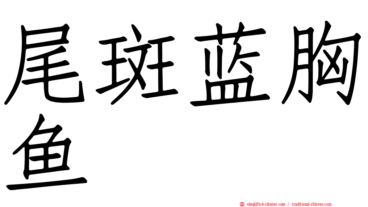 尾斑蓝胸鱼