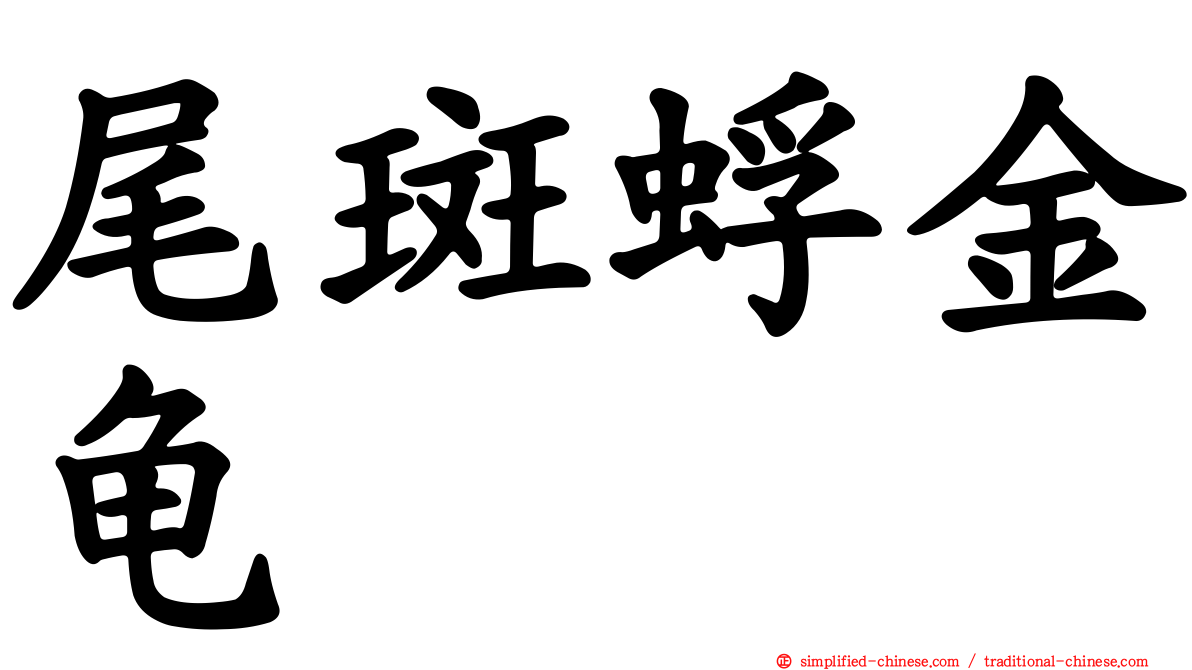 尾斑蜉金龟