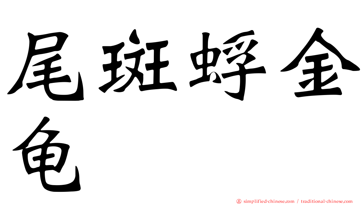 尾斑蜉金龟