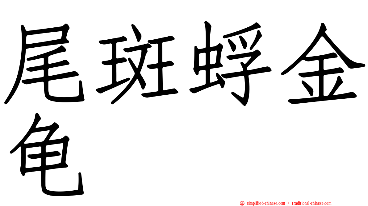 尾斑蜉金龟