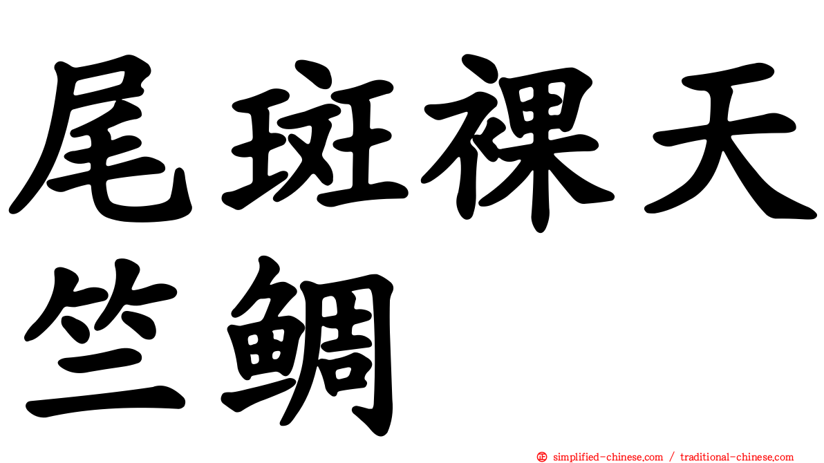 尾斑裸天竺鲷