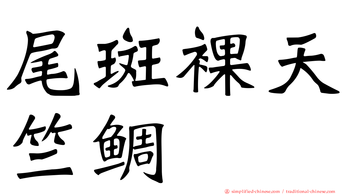 尾斑裸天竺鲷