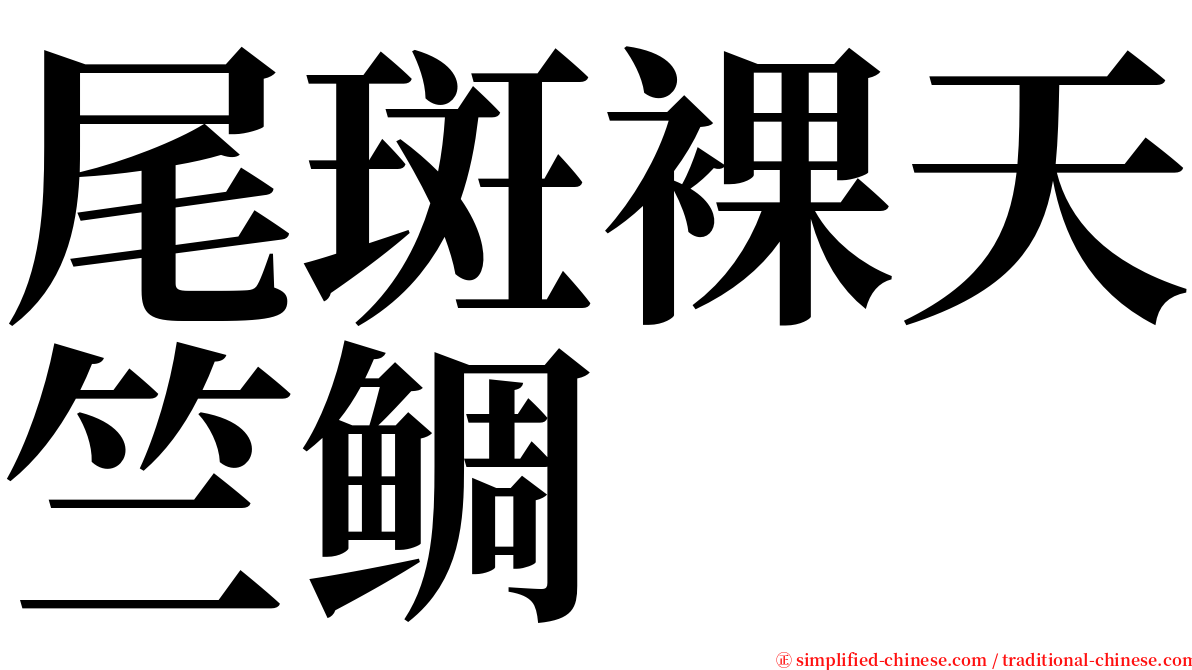 尾斑裸天竺鲷 serif font