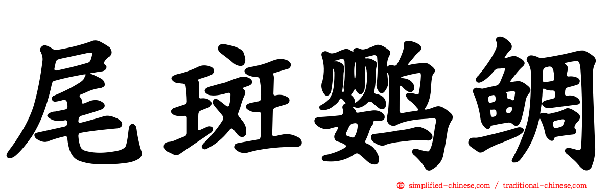 尾斑鹦鲷