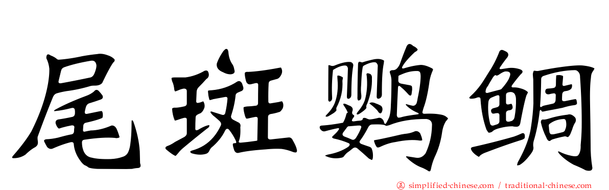 尾斑鹦鲷