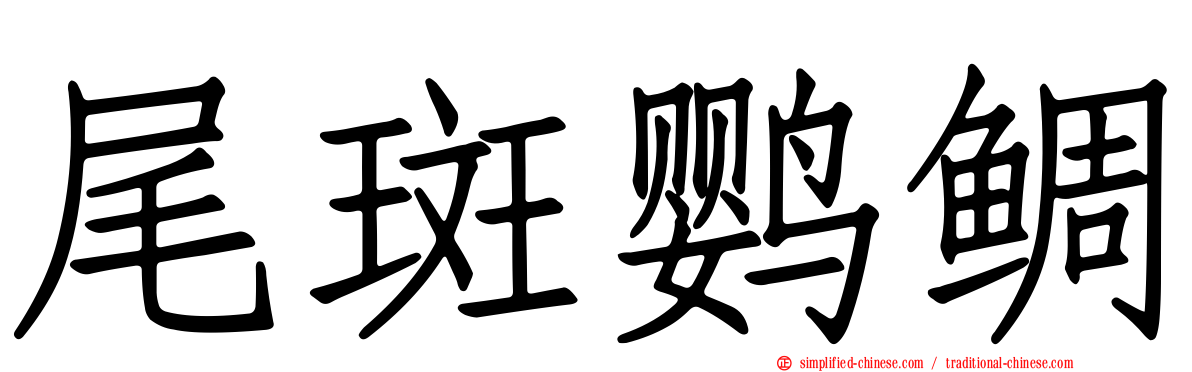 尾斑鹦鲷