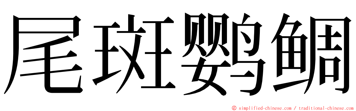 尾斑鹦鲷 ming font