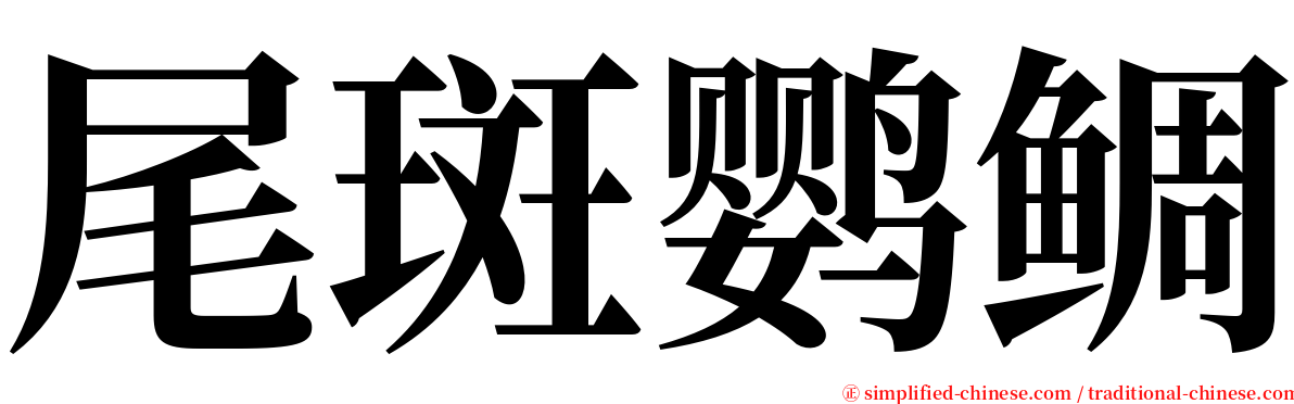 尾斑鹦鲷 serif font