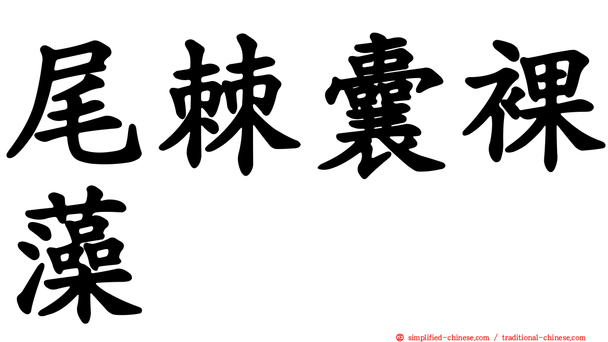 尾棘囊裸藻
