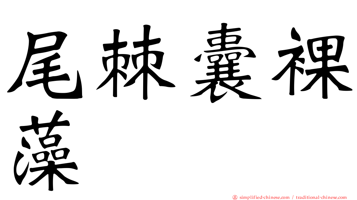 尾棘囊裸藻