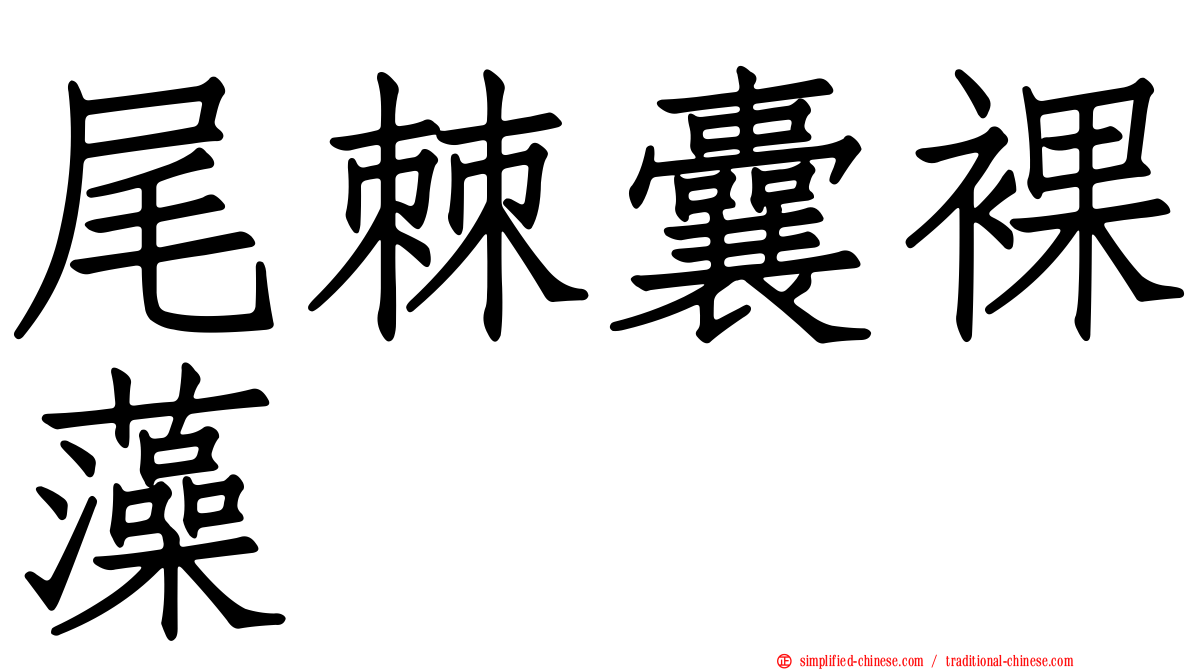 尾棘囊裸藻