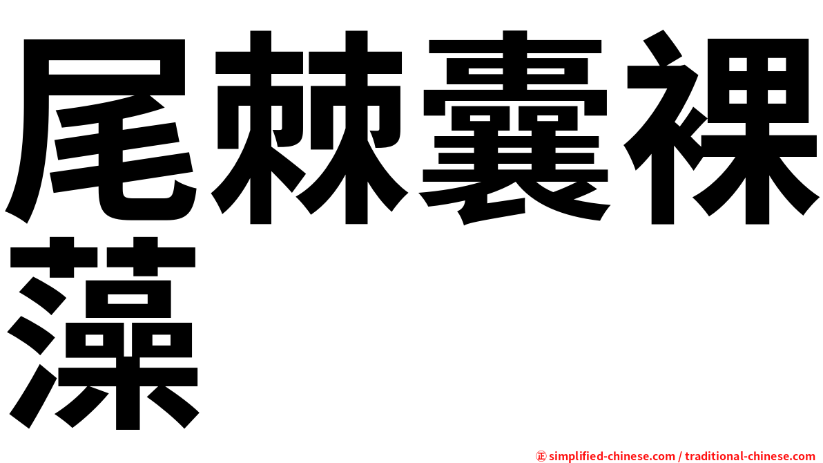 尾棘囊裸藻