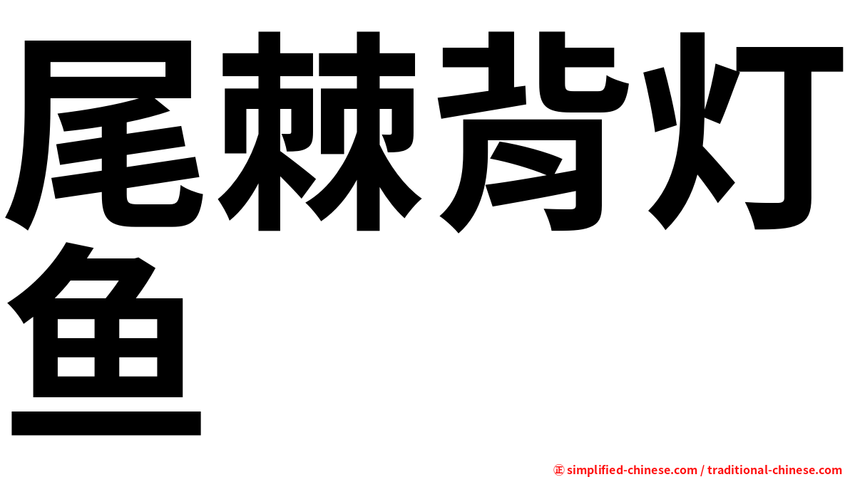 尾棘背灯鱼