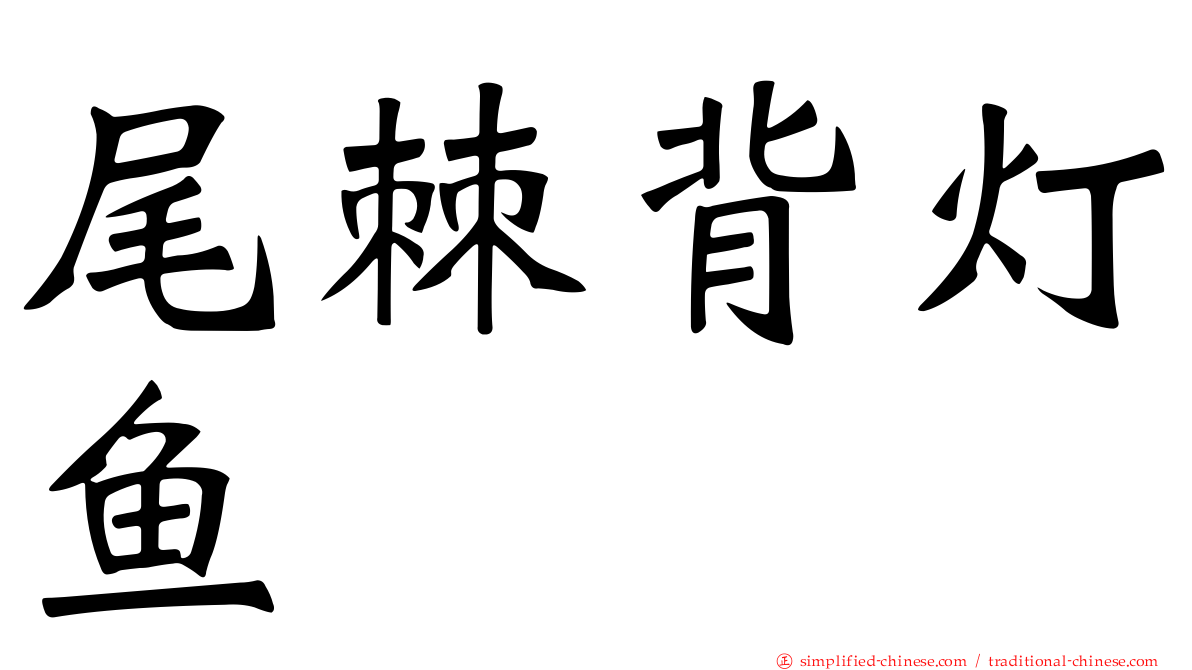 尾棘背灯鱼