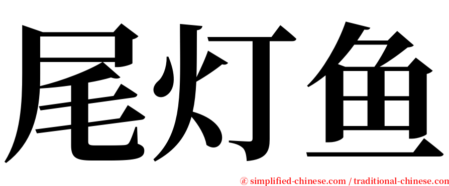 尾灯鱼 serif font