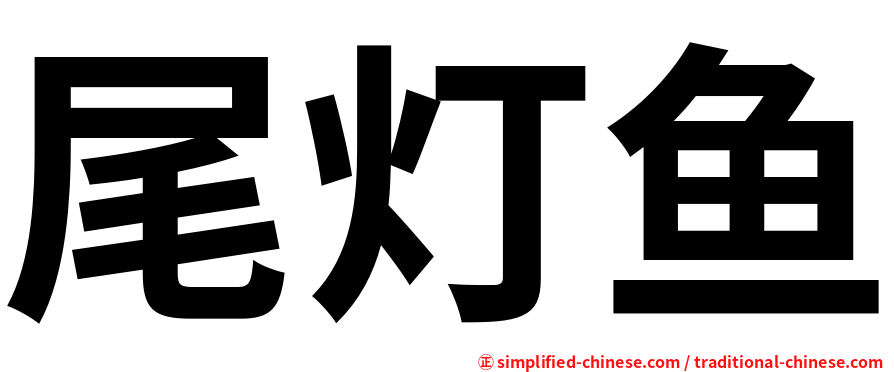 尾灯鱼