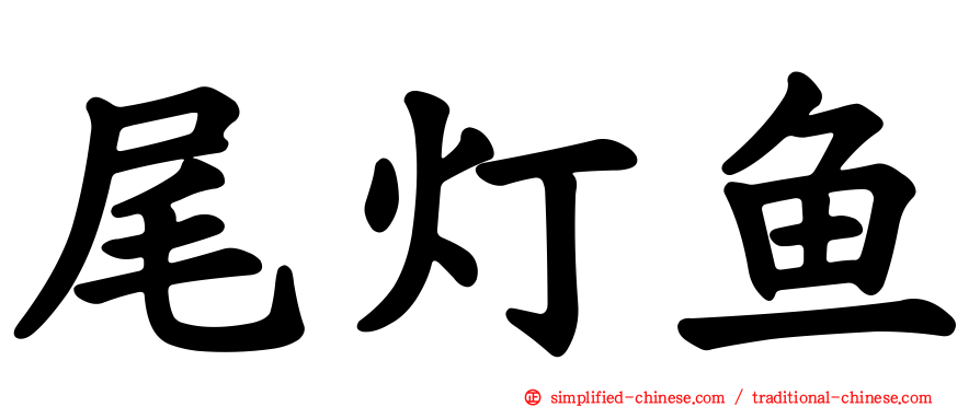 尾灯鱼
