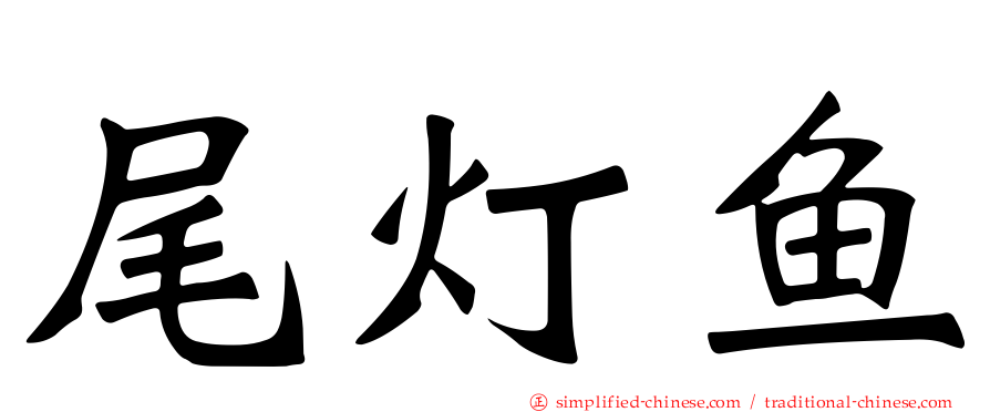 尾灯鱼