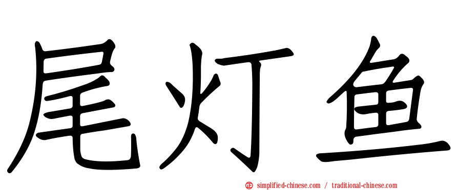 尾灯鱼