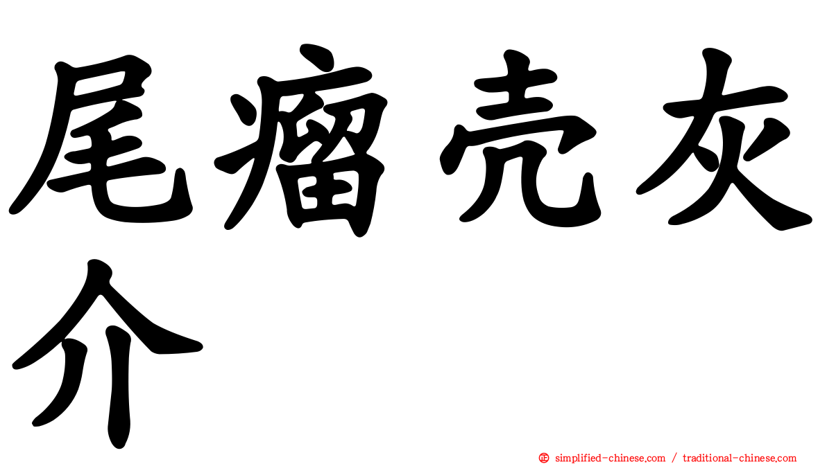 尾瘤壳灰介