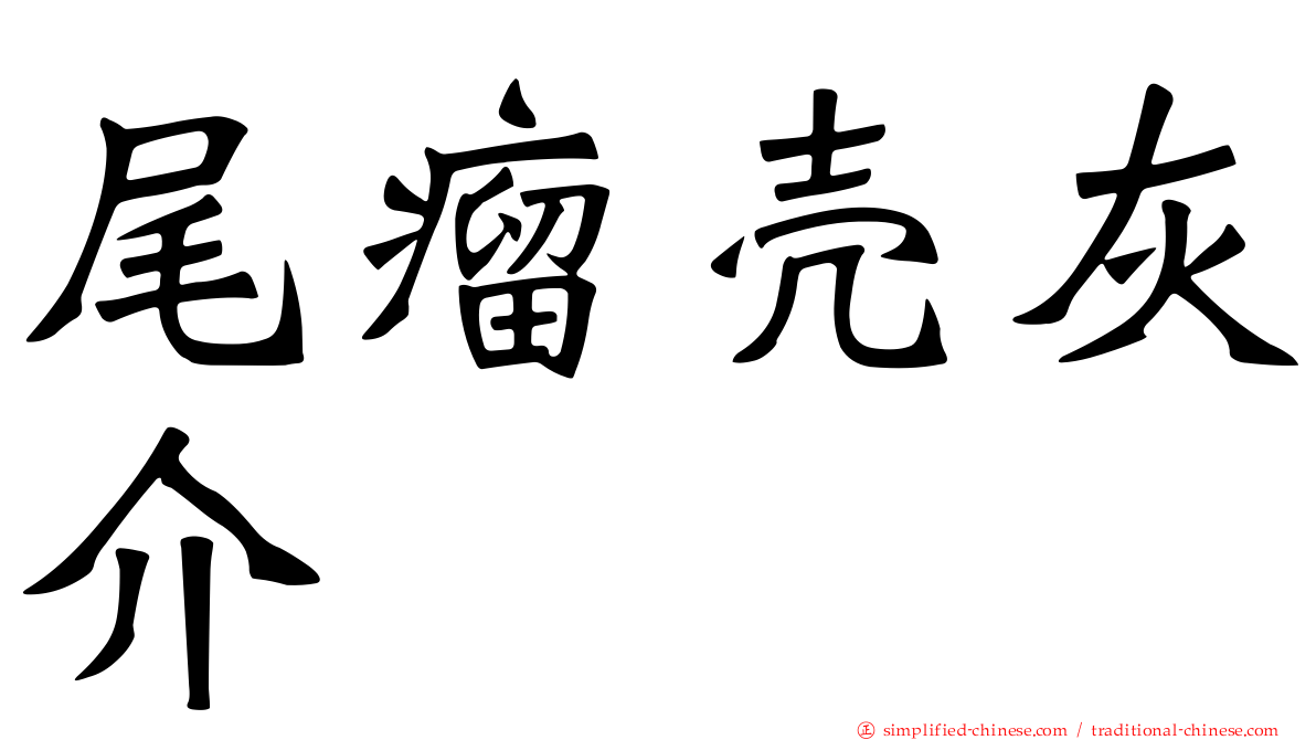 尾瘤壳灰介