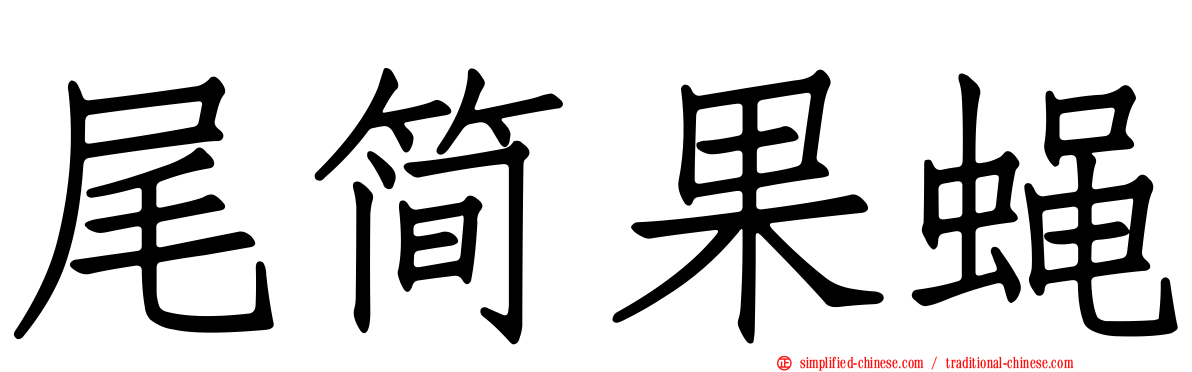 尾简果蝇