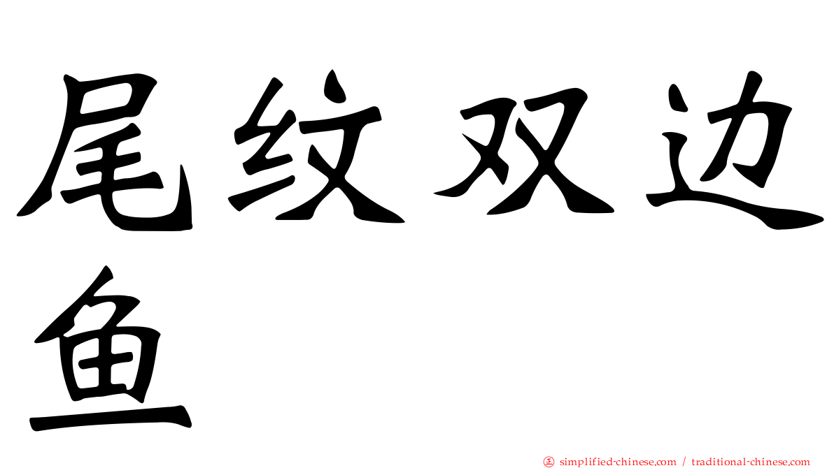 尾纹双边鱼