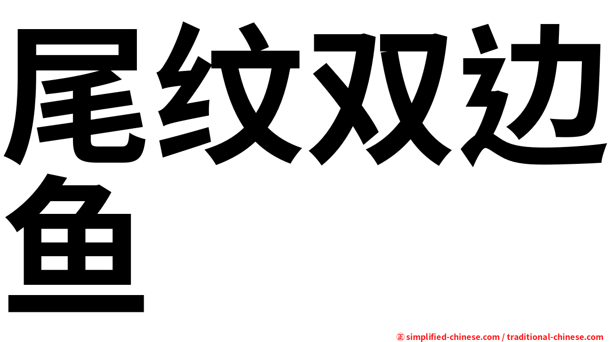 尾纹双边鱼