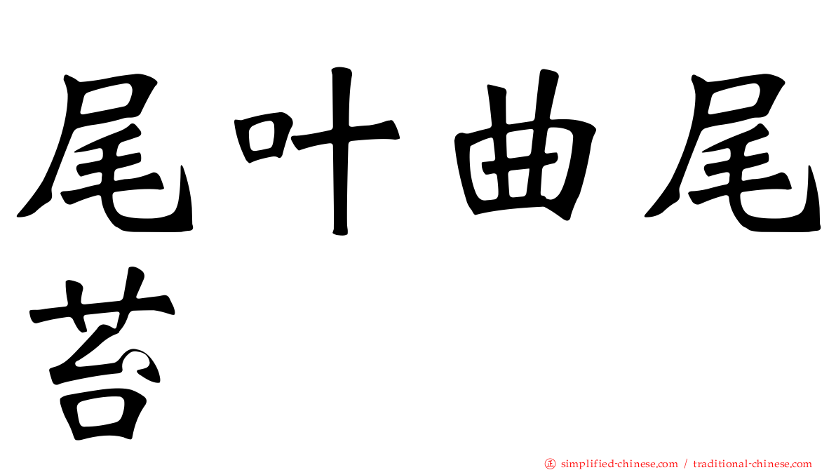 尾叶曲尾苔