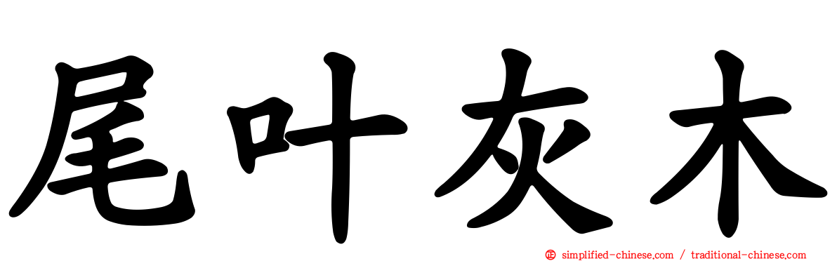 尾叶灰木