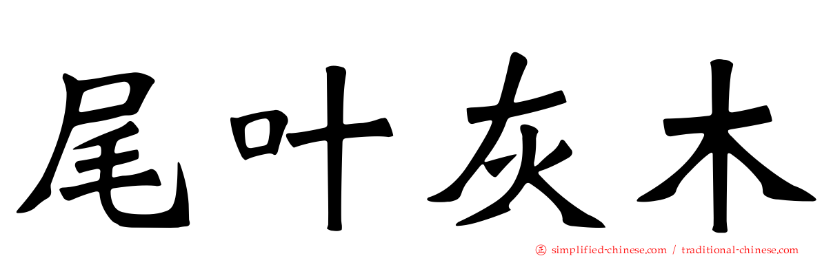 尾叶灰木