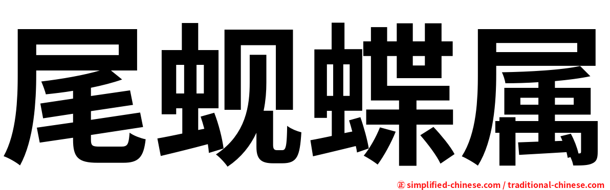 尾蚬蝶属