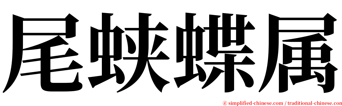 尾蛱蝶属 serif font
