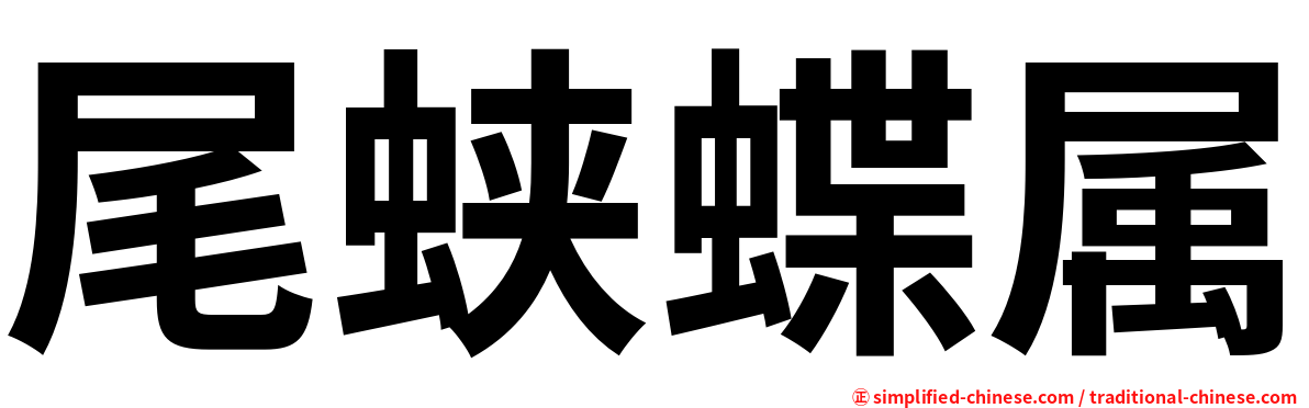 尾蛱蝶属