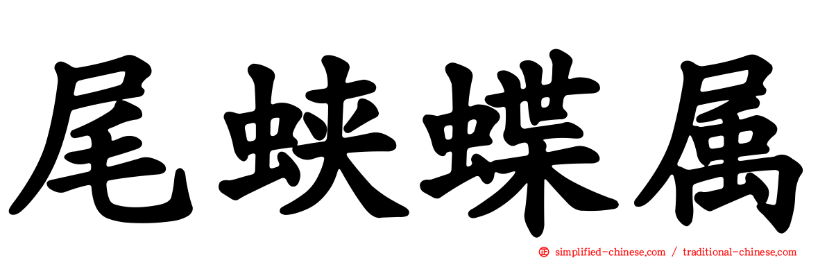 尾蛱蝶属