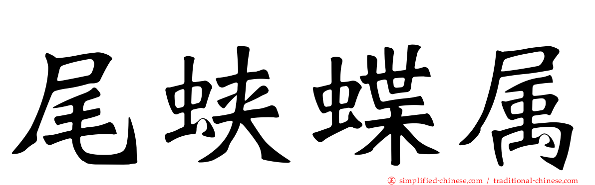 尾蛱蝶属