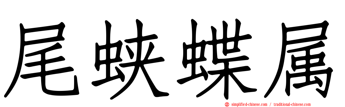 尾蛱蝶属