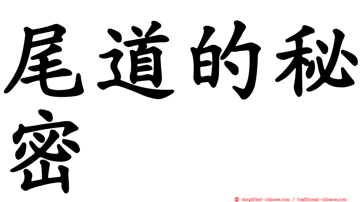 尾道的秘密