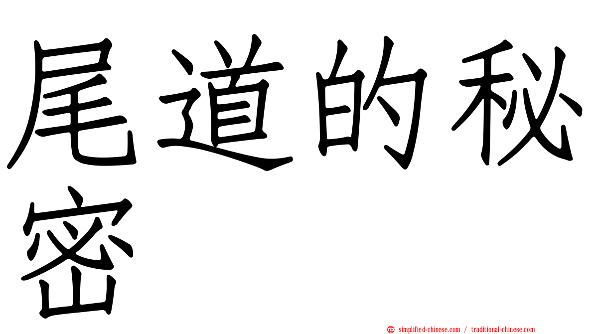 尾道的秘密
