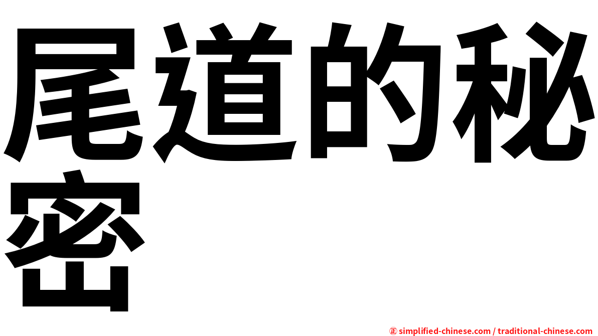 尾道的秘密