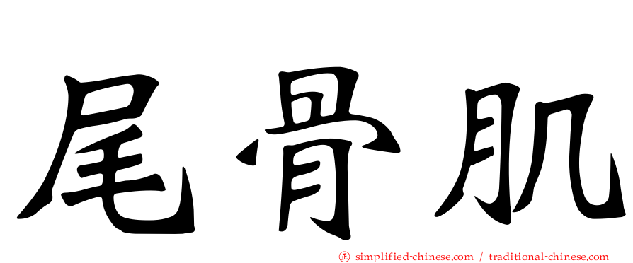 尾骨肌