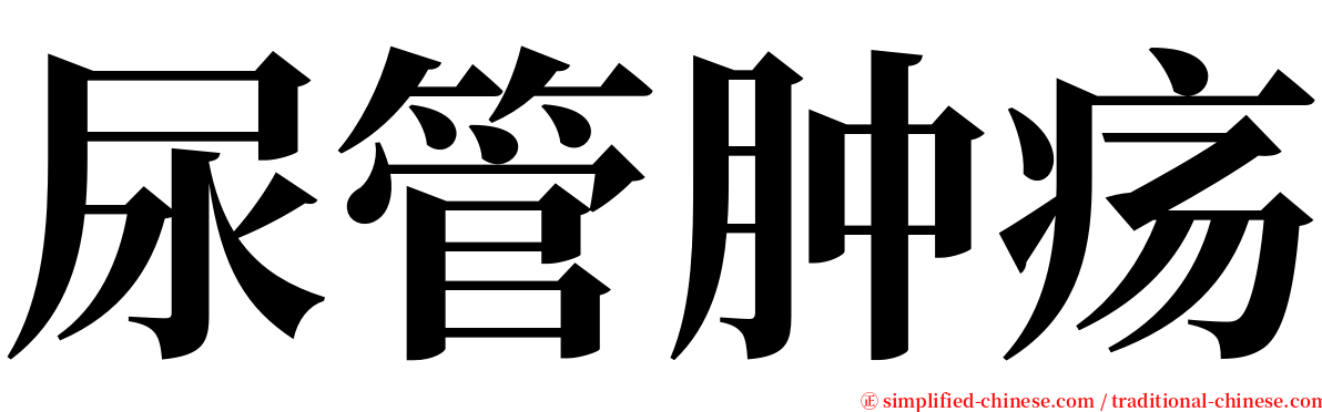 尿管肿疡 serif font